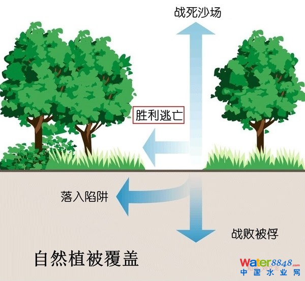 如何理解海绵城市的概念？它在城市排水防涝建设中可以起到什么样的作用？ 旨在全国范围内建设“自然积存、自然渗透、自然净化”的“海绵城市”